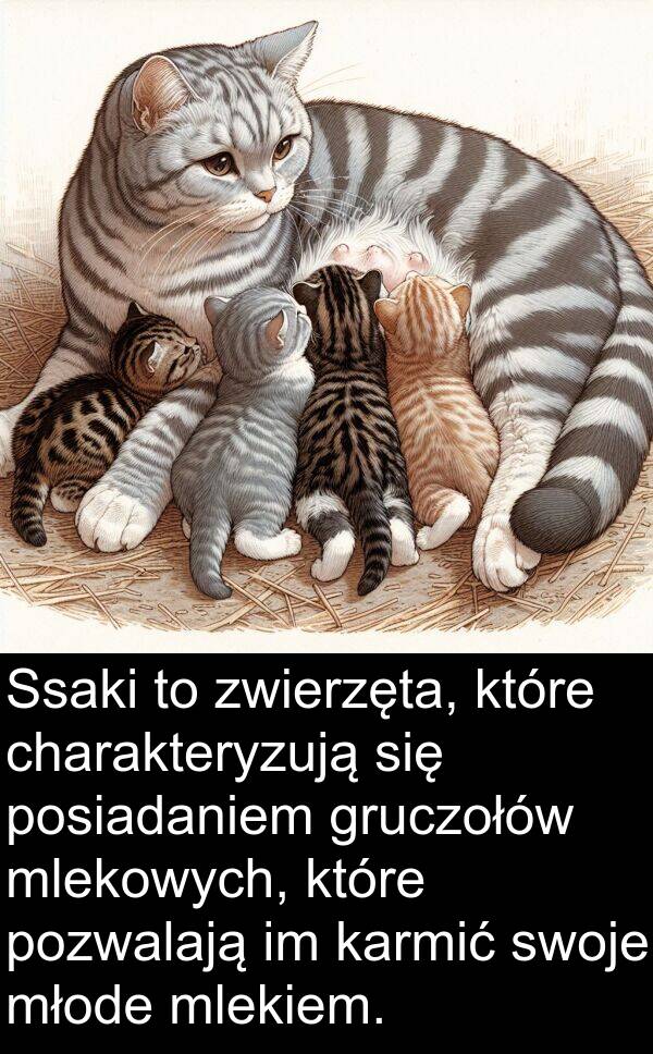 pozwalają: Ssaki to zwierzęta, które charakteryzują się posiadaniem gruczołów mlekowych, które pozwalają im karmić swoje młode mlekiem.