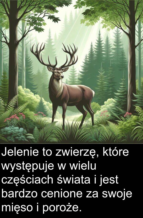 zwierzę: Jelenie to zwierzę, które występuje w wielu częściach świata i jest bardzo cenione za swoje mięso i poroże.