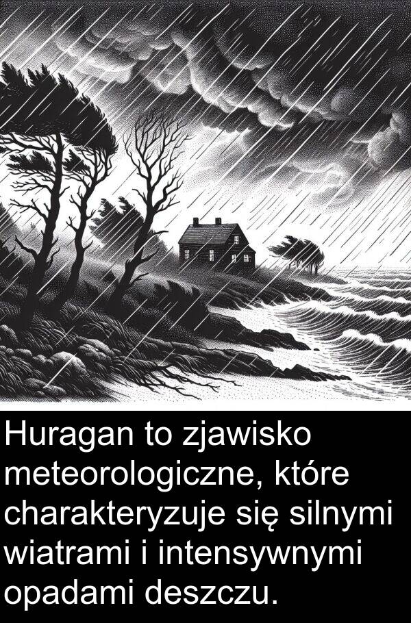 zjawisko: Huragan to zjawisko meteorologiczne, które charakteryzuje się silnymi wiatrami i intensywnymi opadami deszczu.
