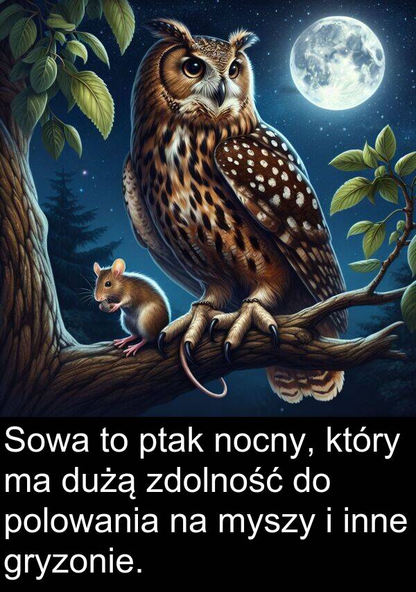 zdolność: Sowa to ptak nocny, który ma dużą zdolność do polowania na myszy i inne gryzonie.