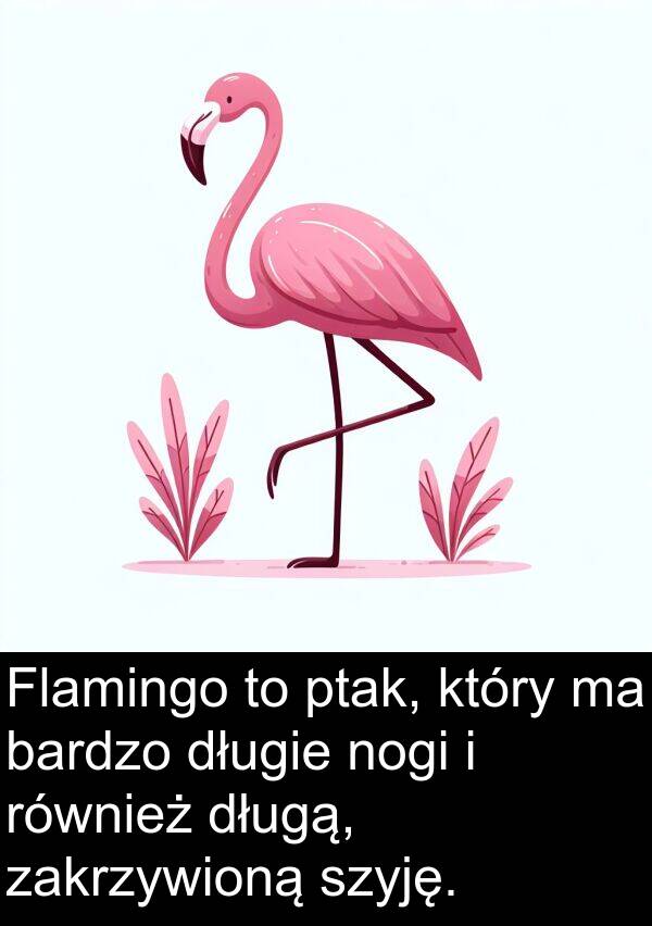 zakrzywioną: Flamingo to ptak, który ma bardzo długie nogi i również długą, zakrzywioną szyję.