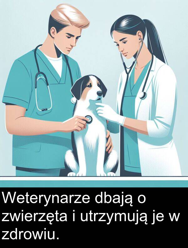 zdrowiu: Weterynarze dbają o zwierzęta i utrzymują je w zdrowiu.