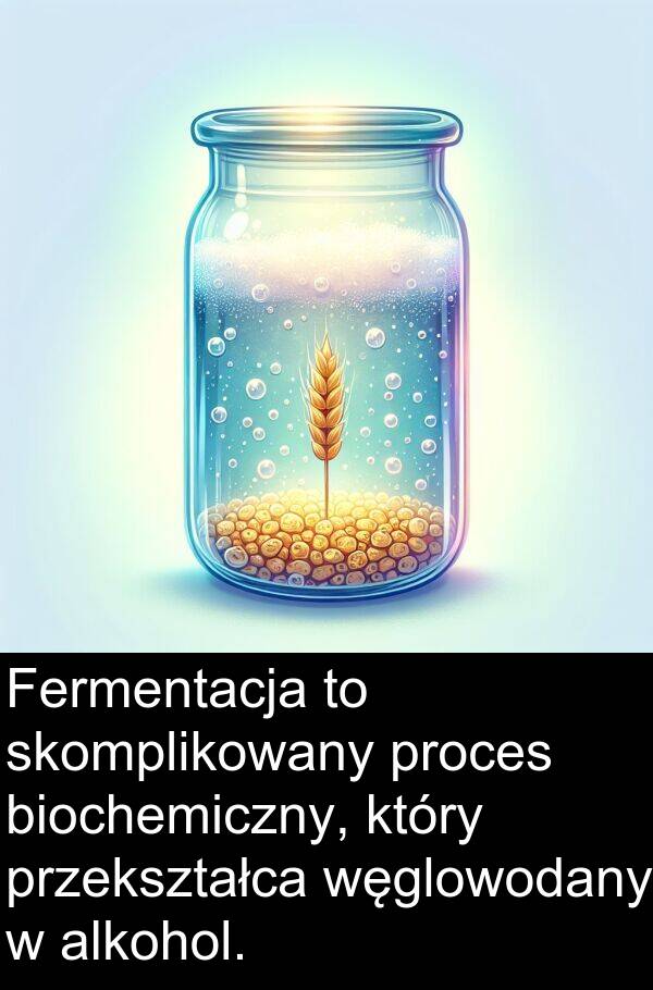 przekształca: Fermentacja to skomplikowany proces biochemiczny, który przekształca węglowodany w alkohol.