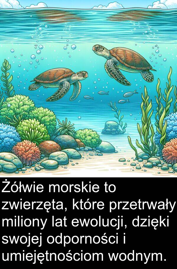ewolucji: Żółwie morskie to zwierzęta, które przetrwały miliony lat ewolucji, dzięki swojej odporności i umiejętnościom wodnym.