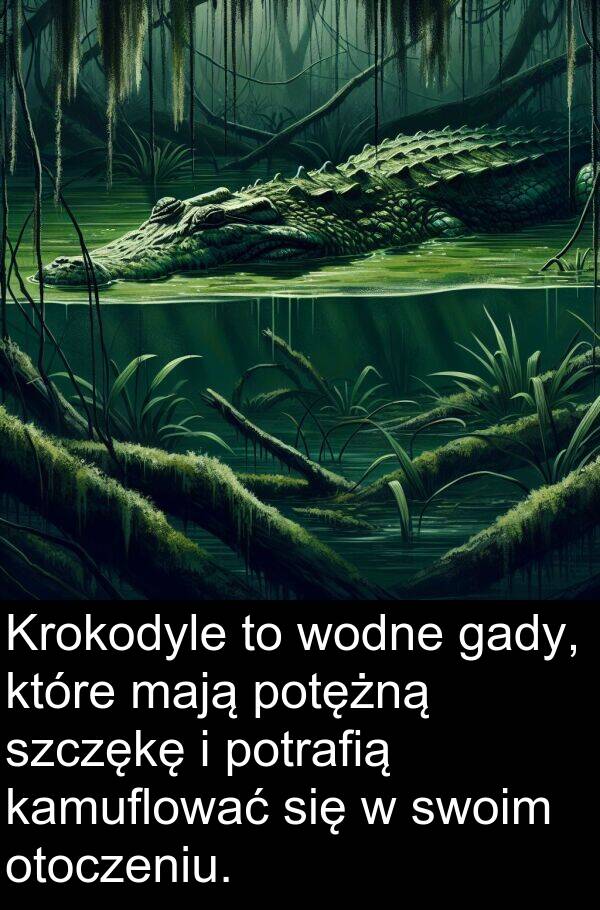 mają: Krokodyle to wodne gady, które mają potężną szczękę i potrafią kamuflować się w swoim otoczeniu.