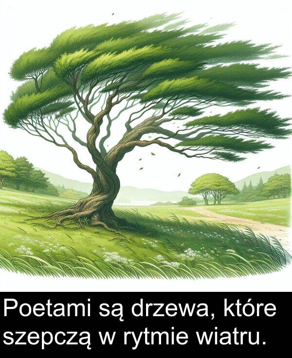 wiatru: Poetami są drzewa, które szepczą w rytmie wiatru.