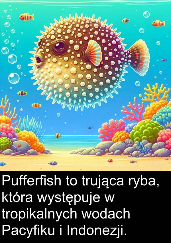 występuje: Pufferfish to trująca ryba, która występuje w tropikalnych wodach Pacyfiku i Indonezji.
