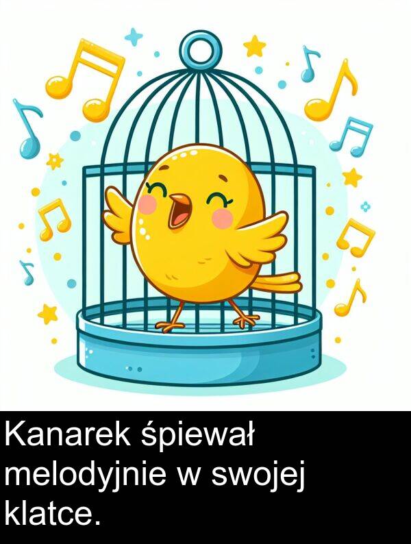śpiewał: Kanarek śpiewał melodyjnie w swojej klatce.