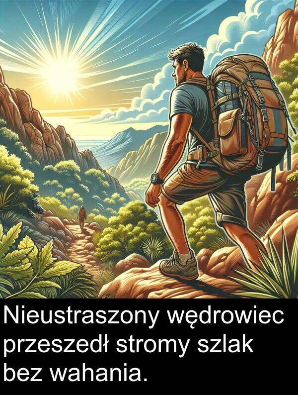 przeszedł: Nieustraszony wędrowiec przeszedł stromy szlak bez wahania.