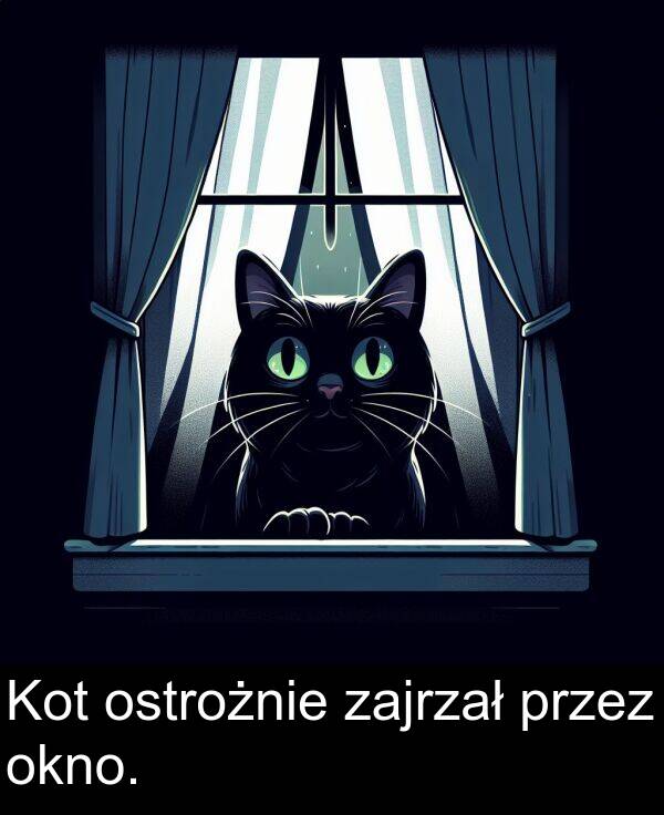 zajrzał: Kot ostrożnie zajrzał przez okno.