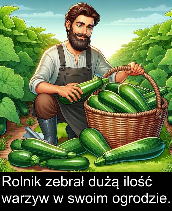 warzyw: Rolnik zebrał dużą ilość warzyw w swoim ogrodzie.