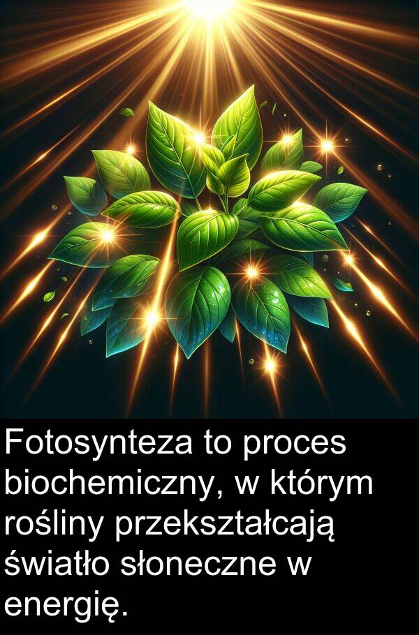 proces: Fotosynteza to proces biochemiczny, w którym rośliny przekształcają światło słoneczne w energię.