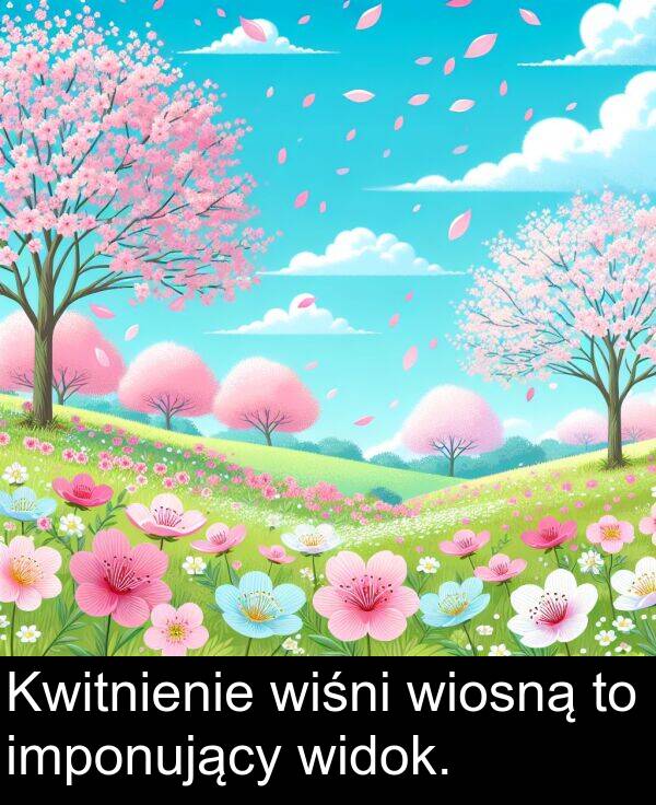 wiosną: Kwitnienie wiśni wiosną to imponujący widok.