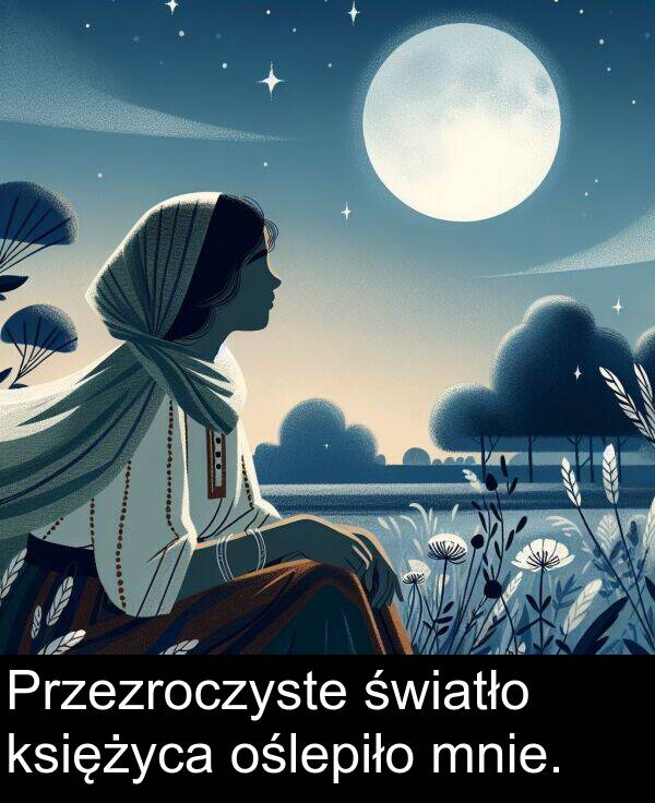 księżyca: Przezroczyste światło księżyca oślepiło mnie.