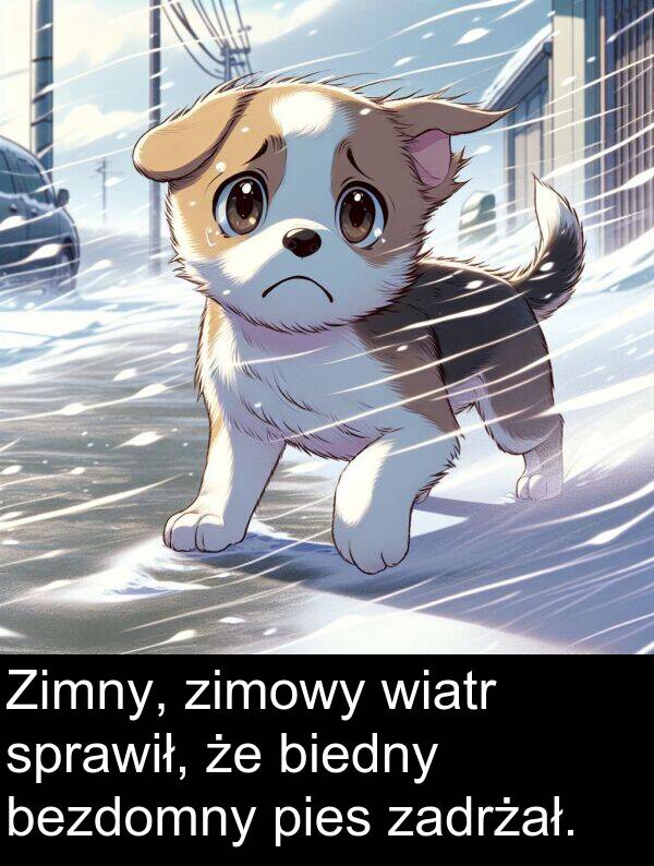 pies: Zimny, zimowy wiatr sprawił, że biedny bezdomny pies zadrżał.