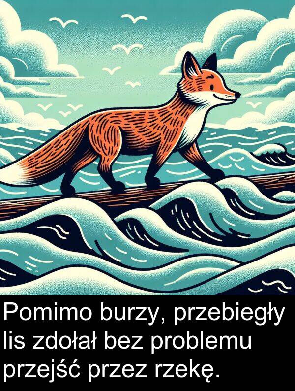 przejść: Pomimo burzy, przebiegły lis zdołał bez problemu przejść przez rzekę.