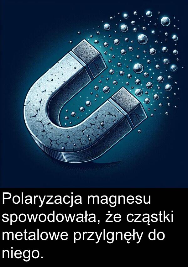 przylgnęły: Polaryzacja magnesu spowodowała, że cząstki metalowe przylgnęły do niego.