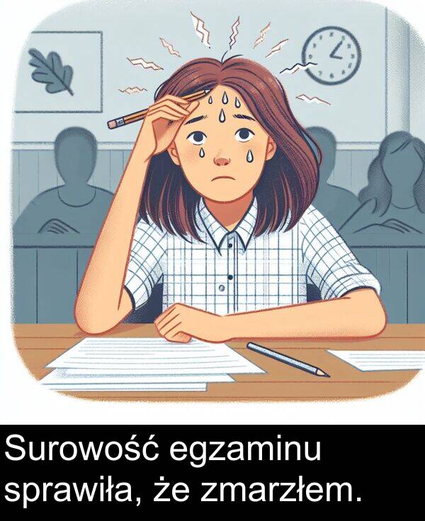 zmarzłem: Surowość egzaminu sprawiła, że zmarzłem.