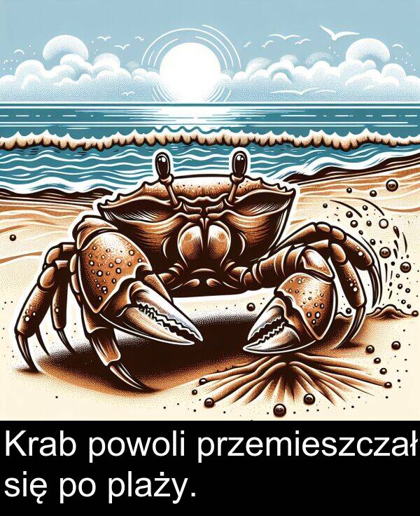 powoli: Krab powoli przemieszczał się po plaży.