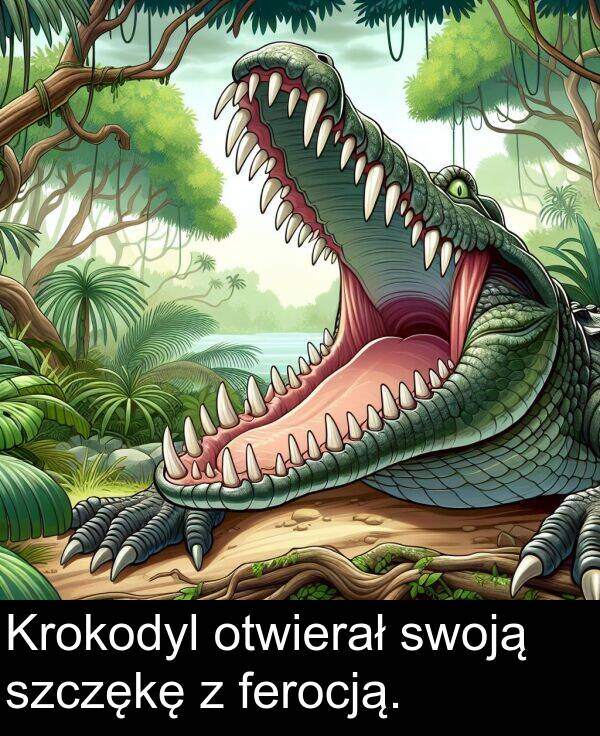 ferocją: Krokodyl otwierał swoją szczękę z ferocją.