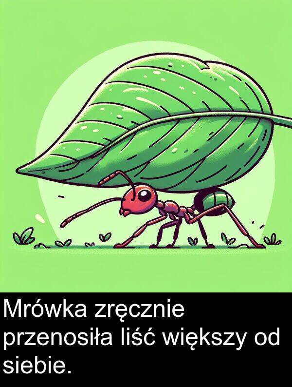 przenosiła: Mrówka zręcznie przenosiła liść większy od siebie.