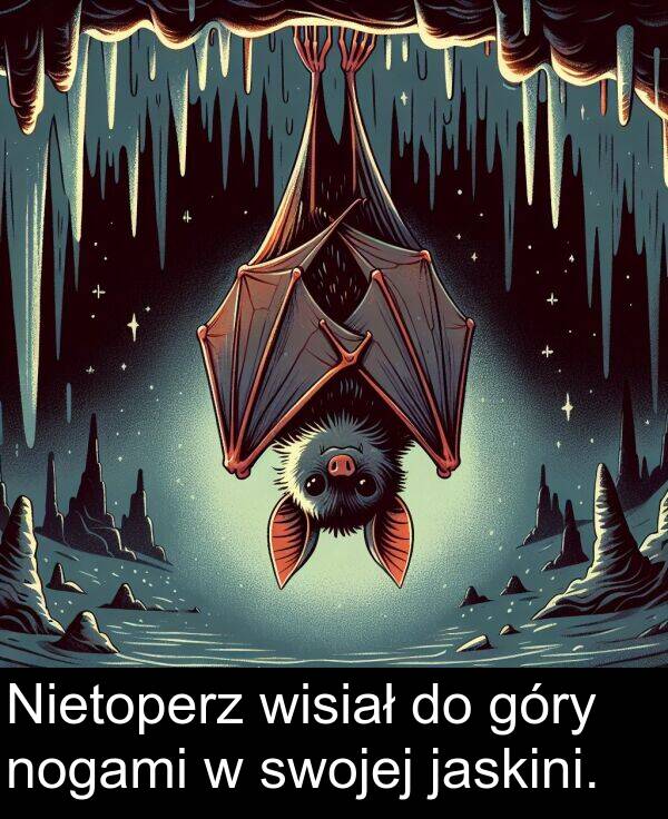jaskini: Nietoperz wisiał do góry nogami w swojej jaskini.
