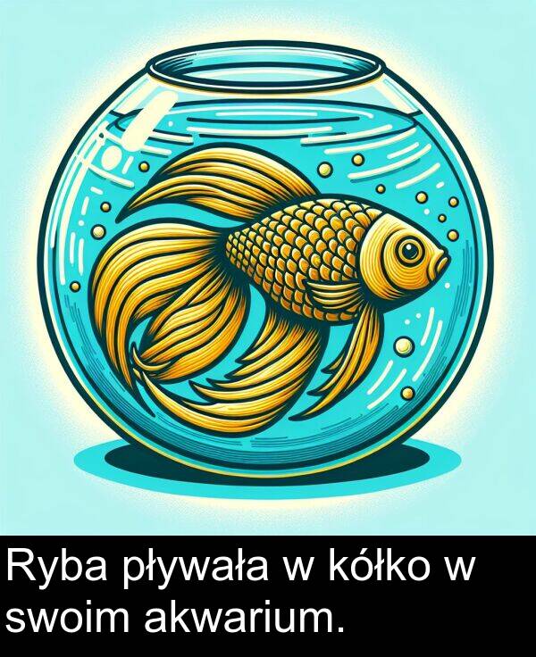 pływała: Ryba pływała w kółko w swoim akwarium.