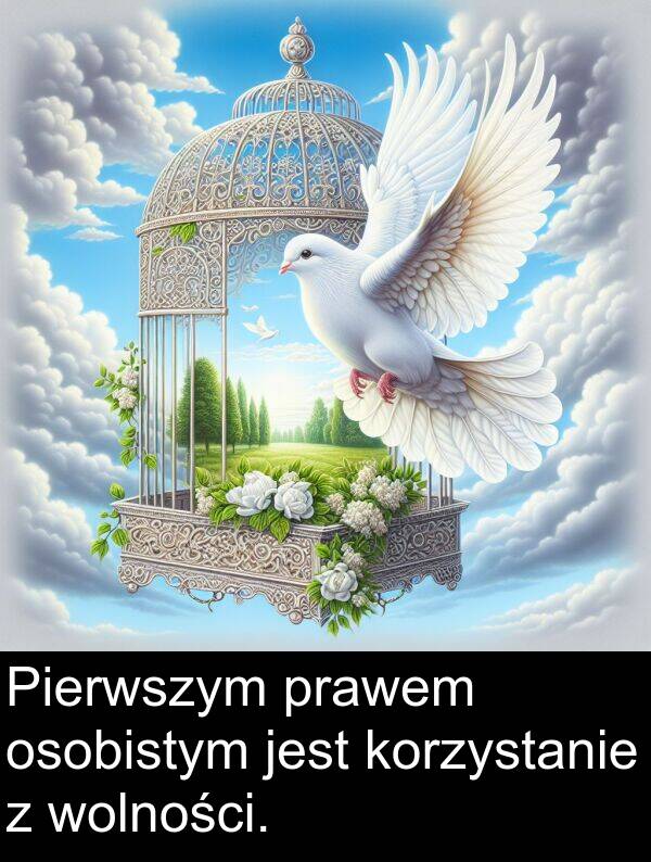 korzystanie: Pierwszym prawem osobistym jest korzystanie z wolności.