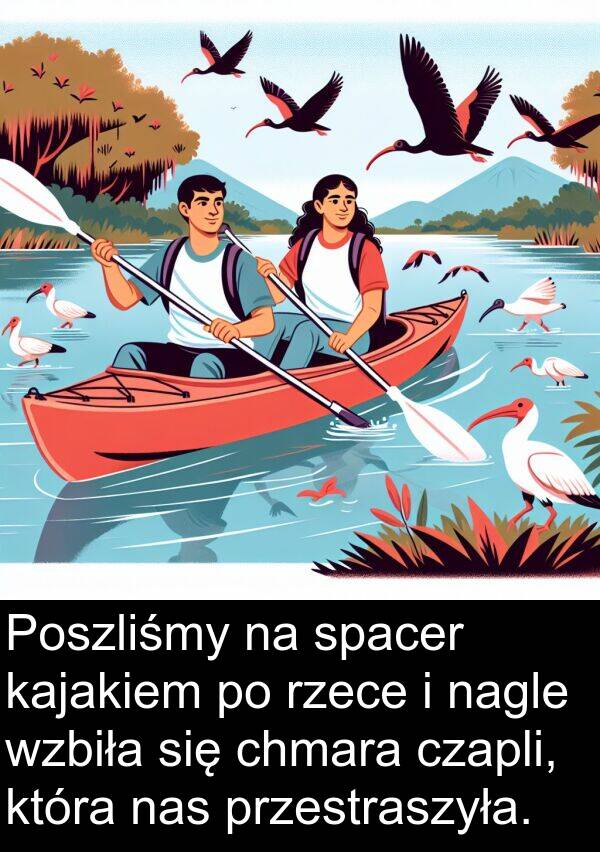 przestraszyła: Poszliśmy na spacer kajakiem po rzece i nagle wzbiła się chmara czapli, która nas przestraszyła.