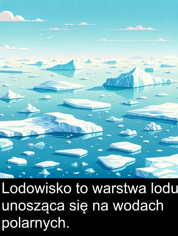 warstwa: Lodowisko to warstwa lodu unosząca się na wodach polarnych.