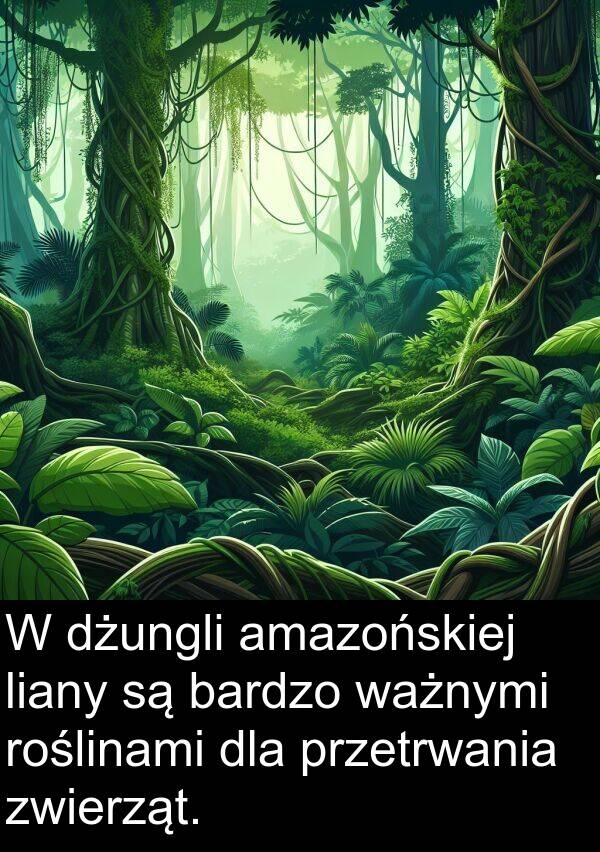 zwierząt: W dżungli amazońskiej liany są bardzo ważnymi roślinami dla przetrwania zwierząt.