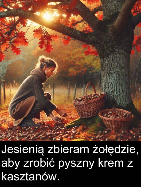 pyszny: Jesienią zbieram żołędzie, aby zrobić pyszny krem z kasztanów.