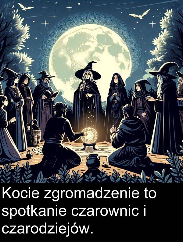 zgromadzenie: Kocie zgromadzenie to spotkanie czarownic i czarodziejów.