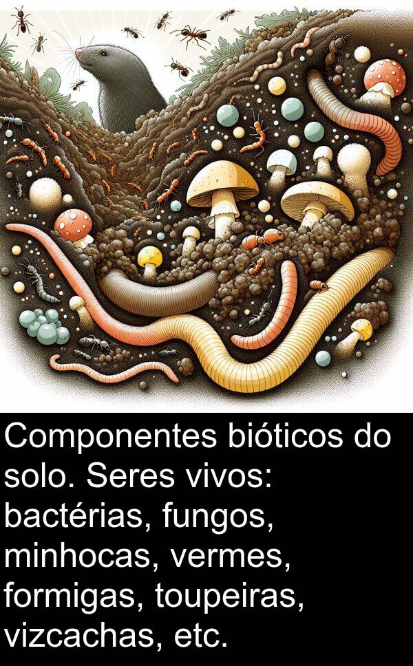 solo: Componentes bióticos do solo. Seres vivos: bactérias, fungos, minhocas, vermes, formigas, toupeiras, vizcachas, etc.