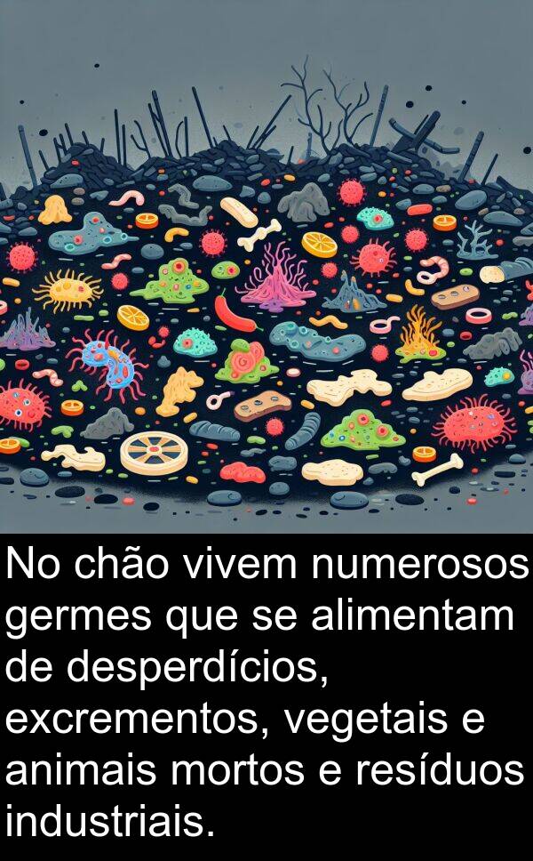 animais: No chão vivem numerosos germes que se alimentam de desperdícios, excrementos, vegetais e animais mortos e resíduos industriais.