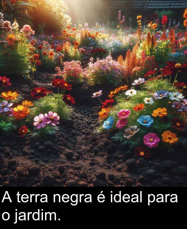 para: A terra negra é ideal para o jardim.