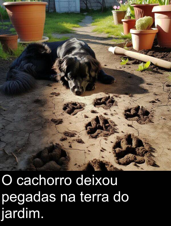 jardim: O cachorro deixou pegadas na terra do jardim.