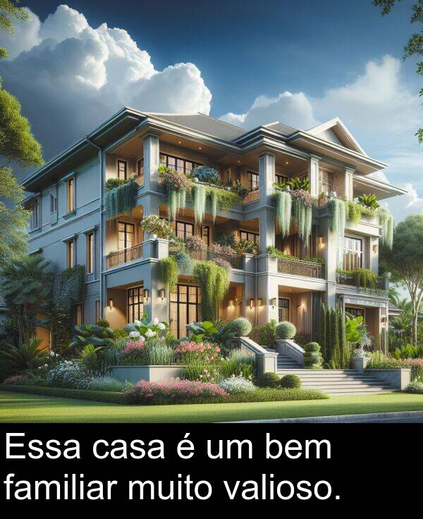 valioso: Essa casa é um bem familiar muito valioso.