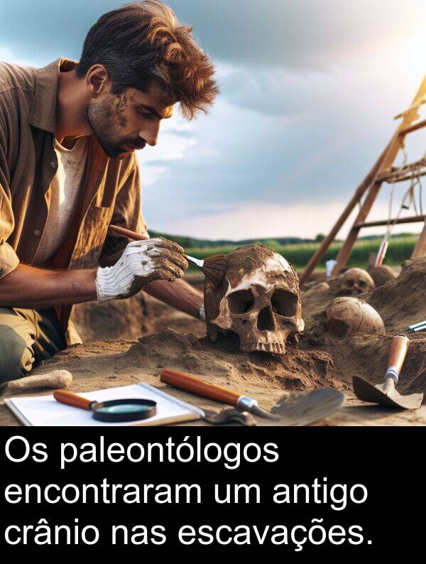 paleontólogos: Os paleontólogos encontraram um antigo crânio nas escavações.