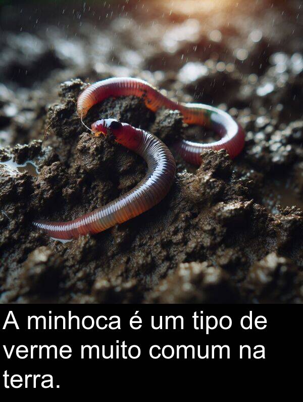 comum: A minhoca é um tipo de verme muito comum na terra.