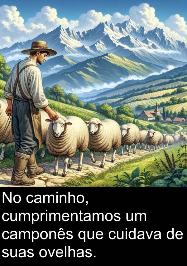 camponês: No caminho, cumprimentamos um camponês que cuidava de suas ovelhas.