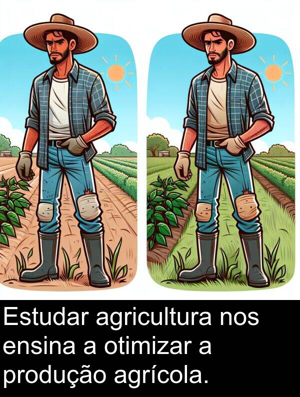 ensina: Estudar agricultura nos ensina a otimizar a produção agrícola.