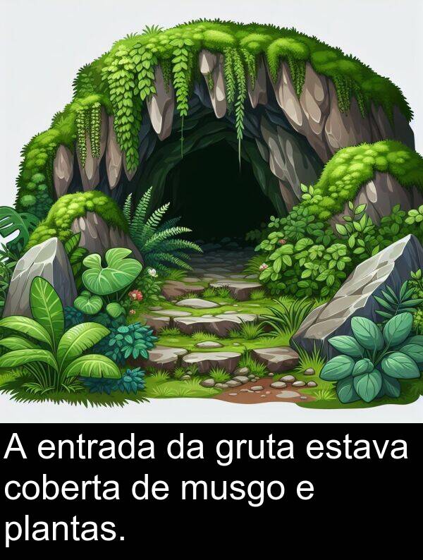 coberta: A entrada da gruta estava coberta de musgo e plantas.