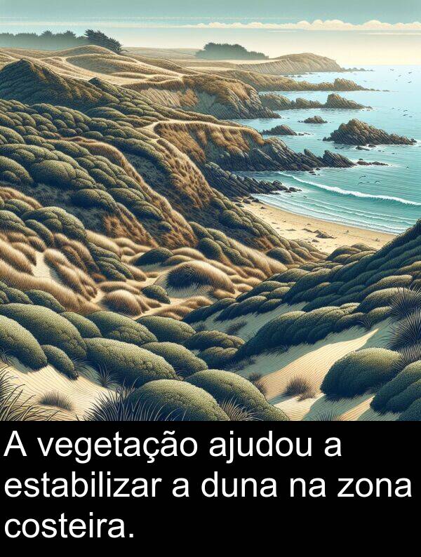 zona: A vegetação ajudou a estabilizar a duna na zona costeira.