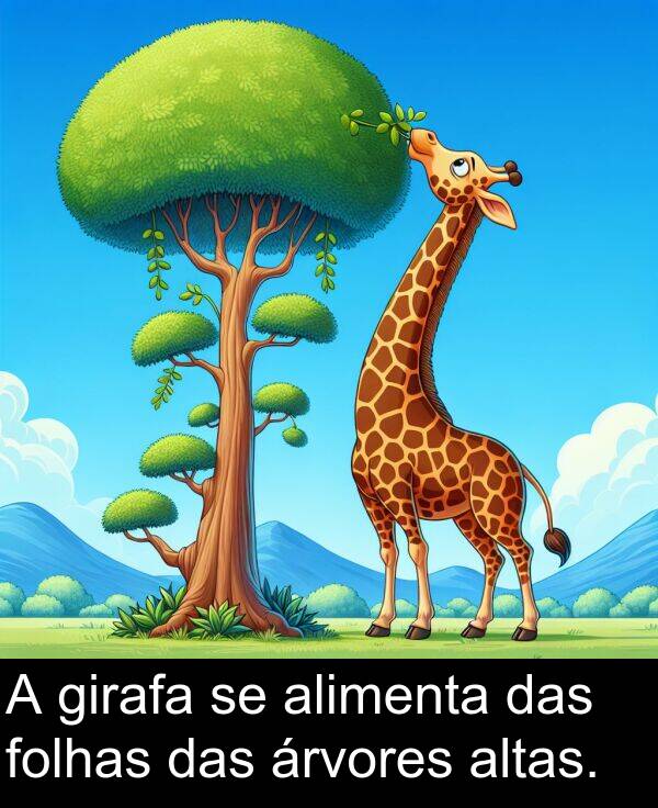 árvores: A girafa se alimenta das folhas das árvores altas.