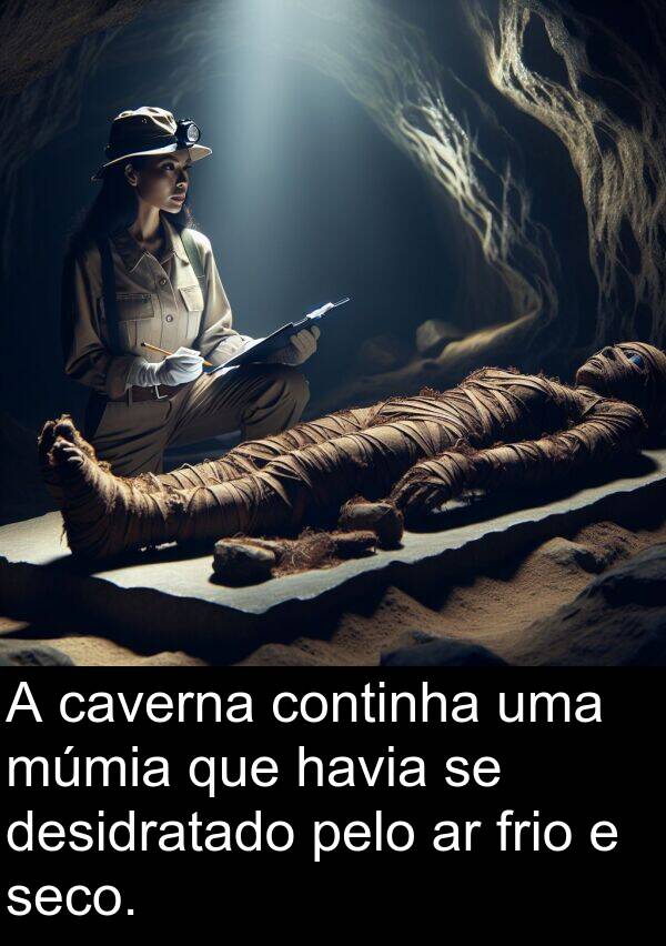continha: A caverna continha uma múmia que havia se desidratado pelo ar frio e seco.