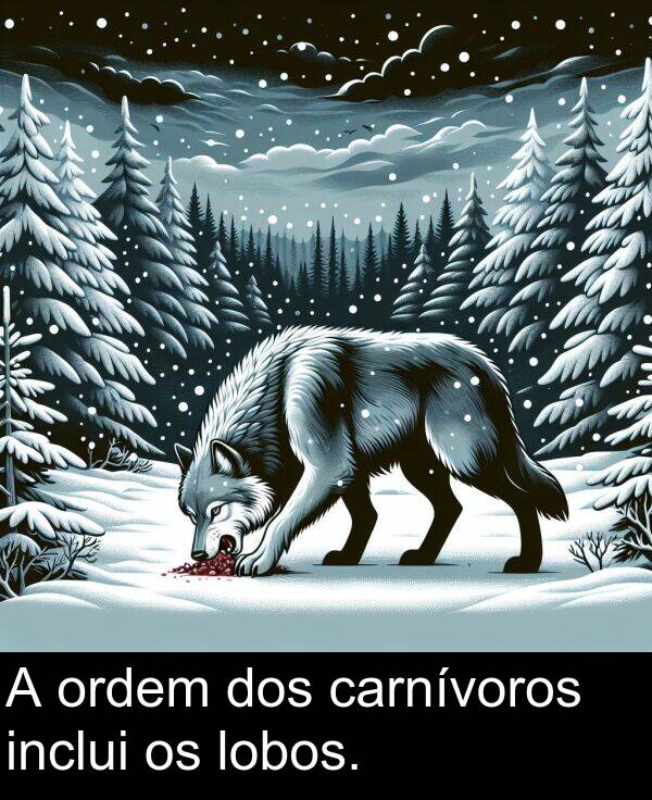 dos: A ordem dos carnívoros inclui os lobos.