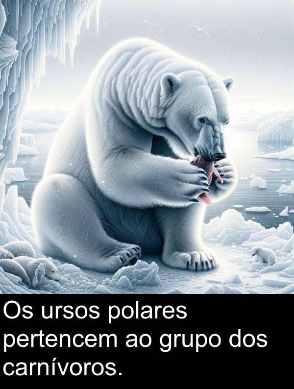 ursos: Os ursos polares pertencem ao grupo dos carnívoros.