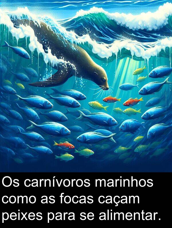 caçam: Os carnívoros marinhos como as focas caçam peixes para se alimentar.