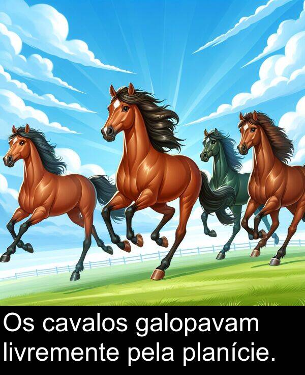 galopavam: Os cavalos galopavam livremente pela planície.